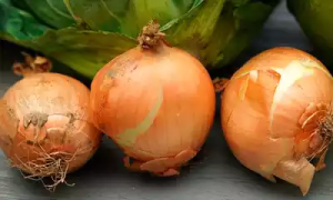 Lee más sobre el artículo Cebollas