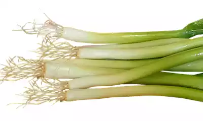 Cebollas tiernas