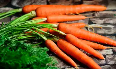 zanahorias