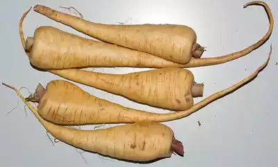 Chirivía