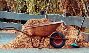 Lee más sobre el artículo Mantenimiento de tu jardín