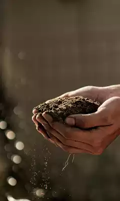 evaluación del suelo del jardín
