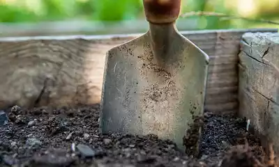 Mejorar el suelo del jardín añadiendo materia orgánica