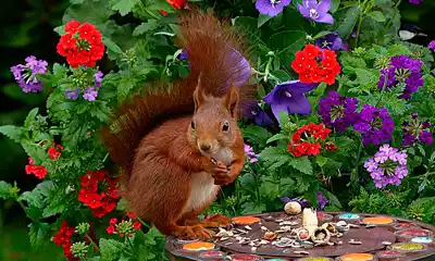 jardin naturalista